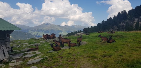 Wildkarspitze 3.076m