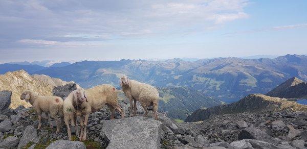 Wildkarspitze 3.076m