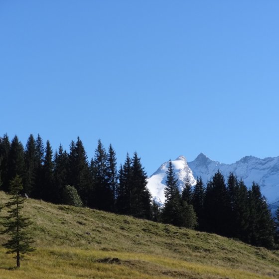 bergherbst gletscher im hintergrund