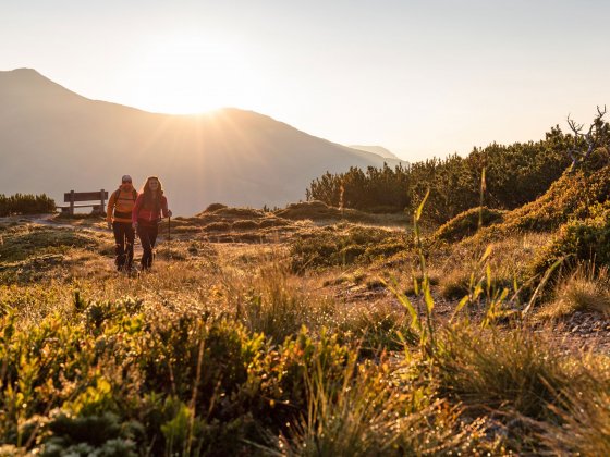 hotel romantik zillertal tirol sommer wandern