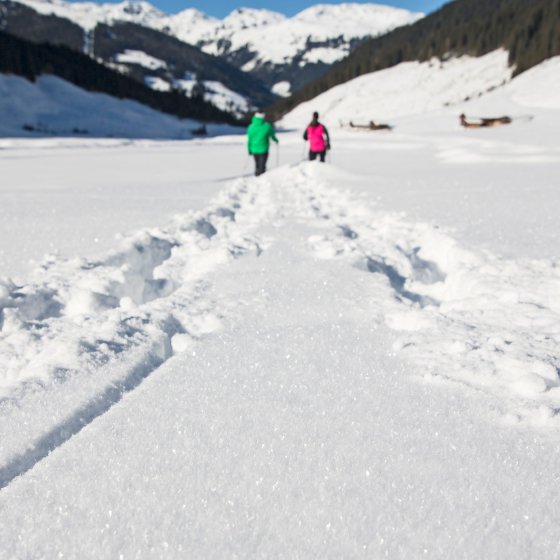 hotel romantik zillertal tirol winter schneeschuh wandern