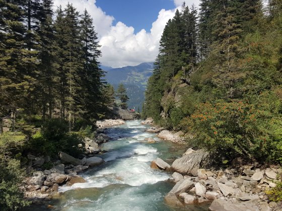 salzburger land erwachsenenhotel sommer d