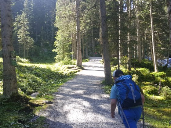 salzburger land erwachsenenhotel wandern e