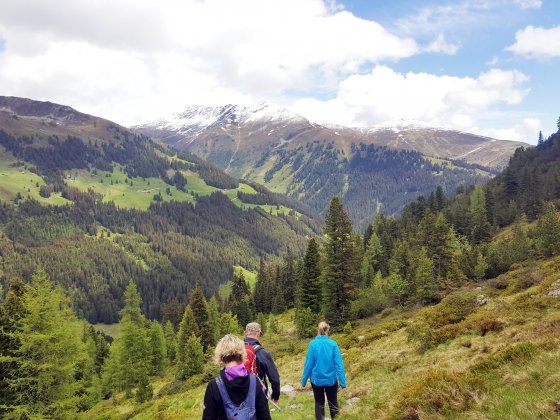 salzburger land erwachsenenhotel wandern f