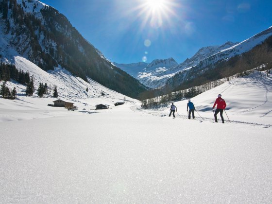 winterurlaub in den bergen langlaufen